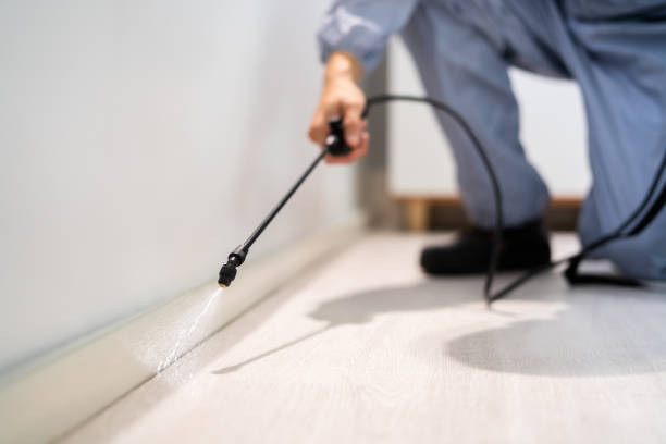 Licensed Ant Control service in Jamestown, ND - Nex Pest Control