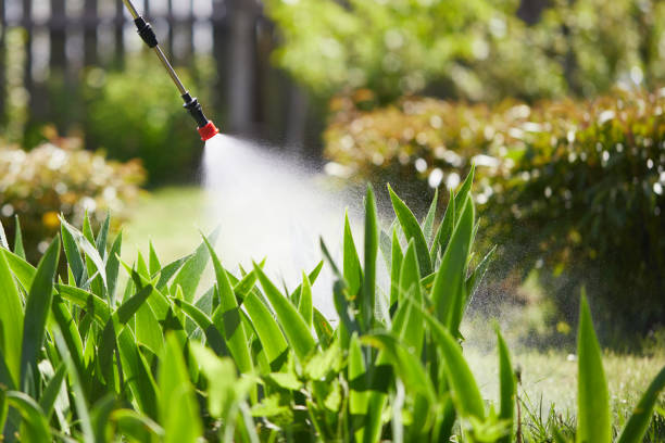 24/7 Emergency Ant Control experts in Jamestown, ND