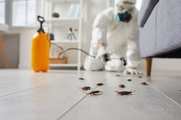 Trusted Termite Control service in Jamestown, ND - Nex Pest Control