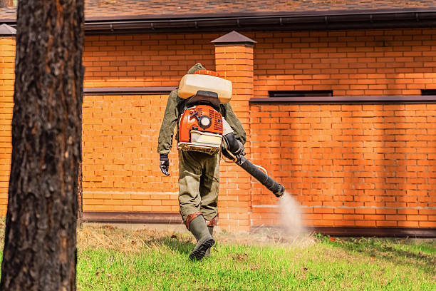 Trusted Ant Control service in Jamestown, ND - Nex Pest Control